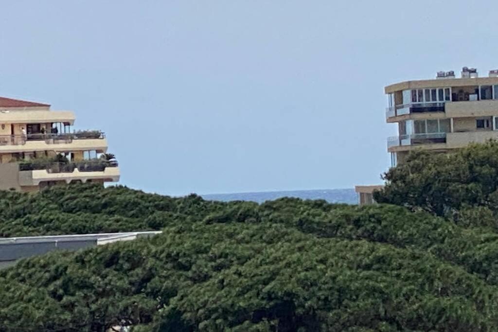 Tres Beau T4 A Frejus Plage Daire Dış mekan fotoğraf